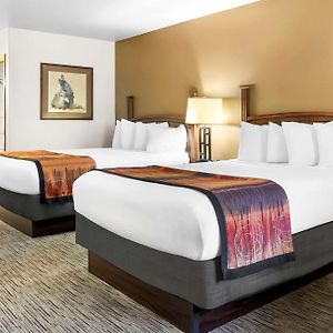 Queen Room Two Queen Beds Walk Shower Mobility Accessible